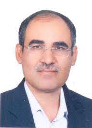 دکتر محمد رضا زارع مهرجردی